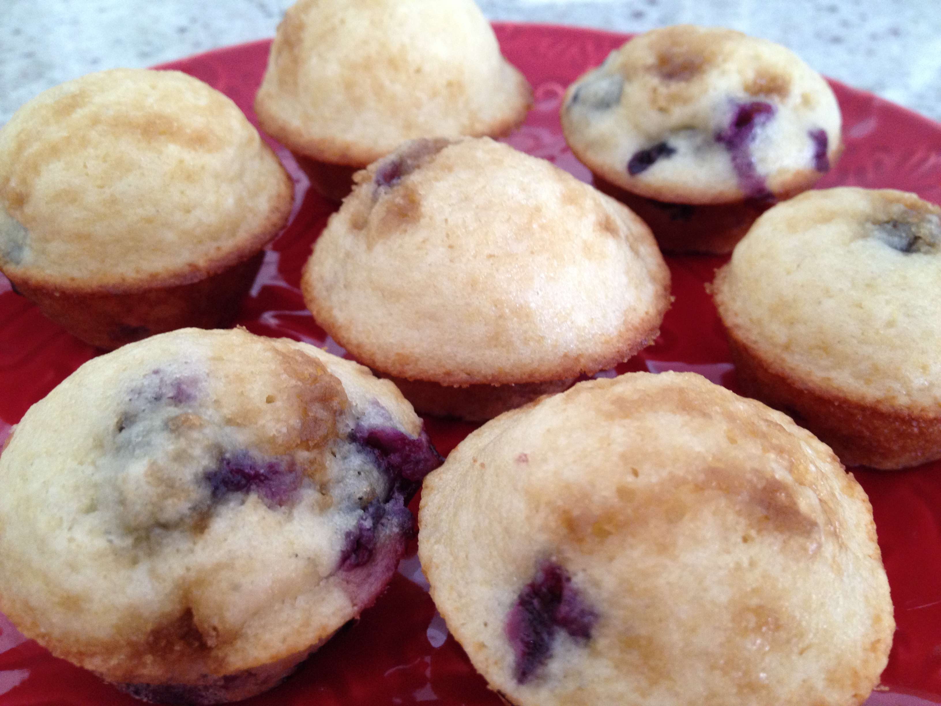 Easy Blueberry Muffins - Homemade Baby Food Recipes.com